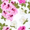 Seamless texture Pelargonium Geranium summer pink flowers and leaves and jasmine elements for design watercolor vintage vector i