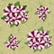 Seamless texture with petunia flowers