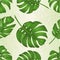 Seamless texture Philodendron tropical jungle leaves nature background vector illustration editable