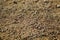 Seamless texture sand children sandbox