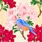 Seamless texture small bird Bluebird thrush and light pink and red rhododendrons spring background vintage vector illustration ed