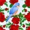Seamless texture Small songbirdon Bluebird thrush and red rose spring background vintage vector illustration editable