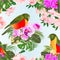 Seamless texture small tropical birds with tropical flowers floral arrangement beautiful orchids and hibiscus,palm,philodendron