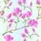 Seamless texture stem Chinese magnolia blooming pink flowers and buds with leaves botanical spring herb background vintage vector