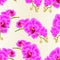 Seamless texture stem orchids flowers purple Phalaenopsis tropical plant vintage vector botanical illustration for design editabl