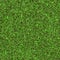 Seamless texture of summer green grass with small leaves