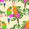 Seamless texture Sun Conure Parrots tropical birds standing on a purple orchid Phalaenopsis and palm, phiodendronon and Brugmansi