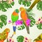 Seamless texture Sun Conure Parrots tropical exotic birds with beautiful orchids and philodendron vector illustration editable