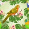 Seamless texture Sun Conure Parrots tropical exotic birds with beautiful yellow and white orchid and philodendron vintage vector