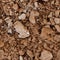 Seamless texture - the surface of the soil