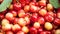 Seamless texture of sweet cherries