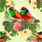 Seamless texture tropical birds on a branch bouquet with tropical flowers hibiscus palm,philodendron on a white background vintag