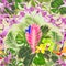 Seamless texture tropical flowers floral arrangement with beautiful Orchids Dendrobium tillandsia cyanea cymbidium and Strelitz