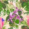 Seamless texture tropical flowers floral arrangement, with Orchid Dendrobium nobile spotted purple and white and Tillandsia cy