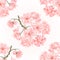 Seamless texture twig tree sakura blossoms vintage hand draw natural pink background vector