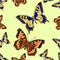Seamless texture two Butterfly vector