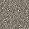 Seamless Texture of Weathered Concrete Surface.