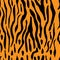 Seamless Tiger Stripe Design