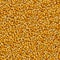 Seamless Tileable Texture of Corn Beans.