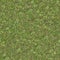 Seamless Tileable Texture of Forest Lawn.