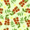 Seamless tomato pattern. Vegetable print. Vector graphics