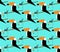 Seamless toucans pattern. Vector tropical background. Toucan icon, Cartoon illustration of toucan vector icon for web, flat style