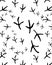 Seamless of traces of birds