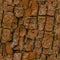 Seamless tree bark background. Brown tileable texture of the old tree