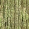 Seamless tree bark, rind texture