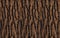 Seamless tree bark texture