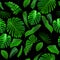 Seamless Tropical Jungle Leaves Background