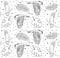 Seamless tropical pattern of hand drawn parrot