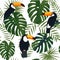 Seamless tropical pattern, monstera and palm leaves, toucan birds on a white background.