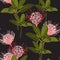 Seamless tropical protea flowers and exotic green leaves pattern on black background. Exotic print.