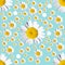 Seamless turquoise background with chamomile