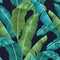 Seamless turquoise and green tropical pattern with banana leaves on black background, flat line vector and illustration. - Vector