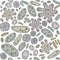 Seamless Vector doodle pattern of Microbes, bacteria and virus