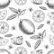 Seamless Vector hand drawn lime or lemon. Whole , sliced pieces half, leave sketch. Fruit engraved style illustration