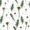 Seamless Vector illustration dandelions with leaves flower meadow. Summer flower natural season beautiful yellow