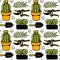 Seamless vector pattern with cactus, potted plants, shovel, secateur.