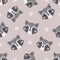 Seamless Vector Pattern with Cute Raccoon face and star