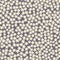 Seamless vector pattern, ditsy white flowers on grey. Textile, packaging, scrapbook, wrapping