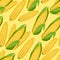 Seamless vector pattern with fresh ripe corn cobs