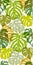 Seamless vector pattern of greenery leaves Monstera. Exotic tropical repeat ornament.