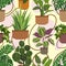 Seamless vector pattern with indoor plants in ceramic brown pots