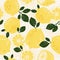 Seamless vector pattern of lemons with leaves on a grunge background. Citruses in doodle style.