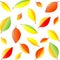 Seamless vector pattern with multicolored autumn leaves