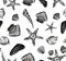 Seamless vector pattern with seashells and starfish in monochrome color on white background. Watercolor texture.