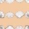 Seamless vector pattern of sketches various seashells in rows