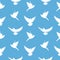 Seamless vector pattern with white pigeons on a blue background.